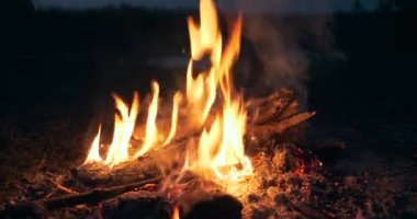 Saha Ovası 'ndaki Kamp Alanı' nda yakın çekim Yakıcı Odun Ateşi Kamp Ateşi. Kırsal Kır Sahnesi. Yaz Akşamı Alacakaranlık Gecesi 4K