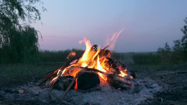 近くで何が起きているのでしょうか フィールド プレインズのレイク近くのキャンプ場で火災火災が発生しました 田舎の田舎の風景 夏の夜の夕暮れの夜 — ストック動画