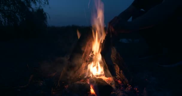 Close Man Put Throw Firewood Burning Fire Flame Campfire Camping — Vídeo de stock