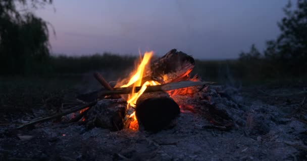 Close Incêndio Lenha Chamas Fogo Fogo Local Acampamento Perto Lago — Vídeo de Stock