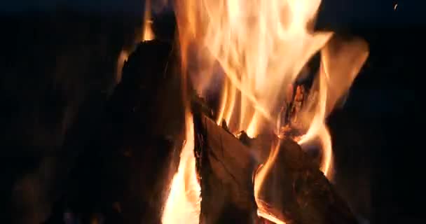 Close Burning Firewood Fire Flame Campfire Camping Site Lake Field — Vídeo de stock