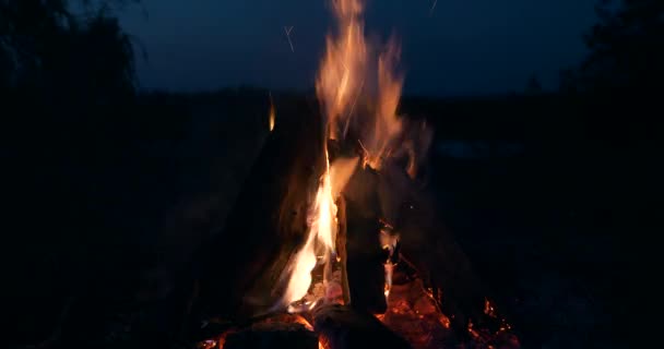 Close Burning Firewood Fire Flame Campfire Camping Site Lake Field — Vídeo de stock