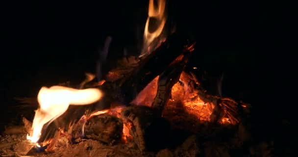 Primer Plano Fuego Llama Lenguas Ceniza Quema Leña Fogata Chimenea — Vídeos de Stock