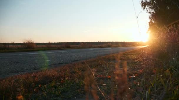 Close Asfalt Road Country Highway Field Herfstseizoen Avondzon Zonsondergang Zonneschijn — Stockvideo