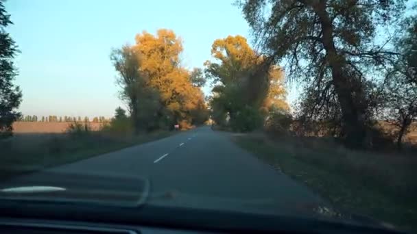 Bestuurder Pov Voorruit Voertuig Voorruit View Car Hood Herfst Avond — Stockvideo