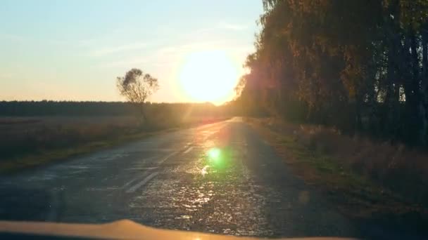 Motorista Pov Pára Brisas Veículo Pára Brisas View Car Hood — Vídeo de Stock