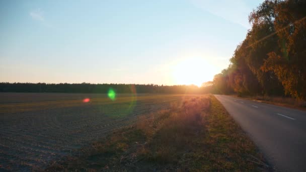 Plowed Field Efter Harvest Nära Highway Country Road Höstsäsongen Kvällssol — Stockvideo