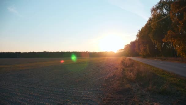 ハイウェイカントリーロード付近の収穫後に畑を耕した 秋の季節 夕日の日差し ヨーロッパ農村風景背景 スローモーション — ストック動画