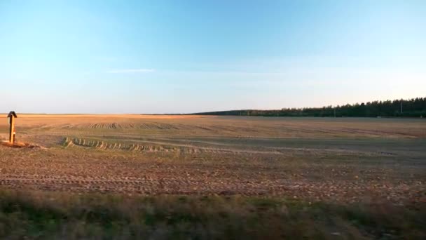 Champ Coulé Après Récolte Vue Fenêtre Voiture Saison Automne Coucher — Video