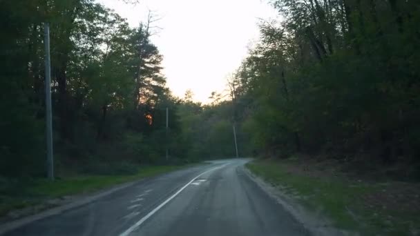 Pov Voorruit View Car Hood Vehicle Driving Forest Wood Herfst — Stockvideo