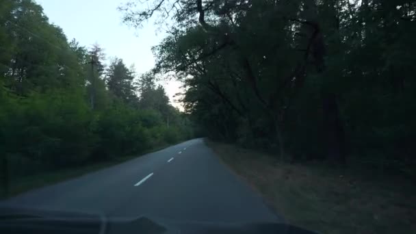 Pov Voorruit View Car Hood Vehicle Driving Forest Wood Herfst — Stockvideo