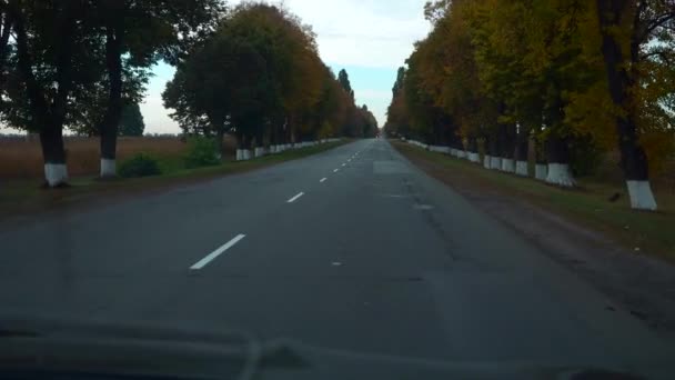 Driver Pov Parabrisas Vehículo Parabrisas Ver Capilla Del Coche Highway — Vídeos de Stock