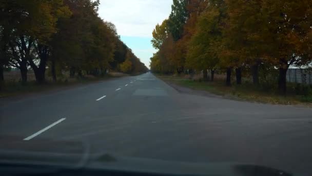 Capot Voiture Vue Pare Brise Véhicule Pare Brise Conducteur Pov — Video