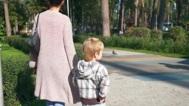 Passeggiata Madre Con Bambino Passeggiata Nel Parco Donna Con Ragazzo — Video Stock