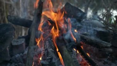 Göl kıyısındaki kamp ateşine yakın çekim. Yakıcı odun ateşi. Sonbahar Akşamı. Yavaş çekim 4K