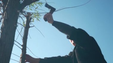 Adam Balta ile Söğüt Ağacı Dallarını Kesiyor. Sonbahar Parlak Güneşli Günü. Temiz Mavi Gökyüzü. 2x Yavaş çekim 60 fps 4K