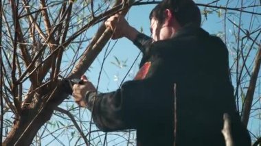 Adam el testeresiyle söğüt ağacını kesti. Sonbahar Parlak Güneşli Günü. Temiz Mavi Gökyüzü. 2x Yavaş çekim 60fps 4K