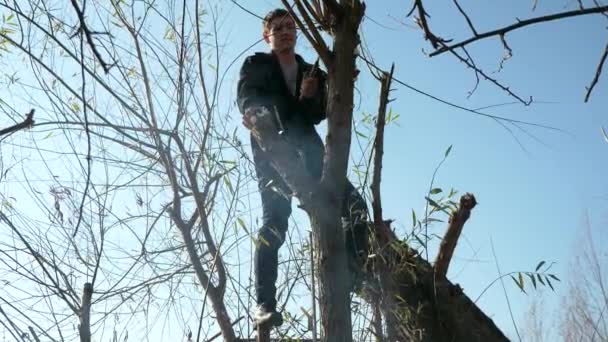 Man Chops Willow Tree Branches Día Soleado Brillante Del Otoño — Vídeos de Stock