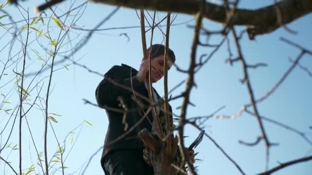 Man Chops Willow Tree Branches Día Soleado Brillante Del Otoño — Vídeos de Stock