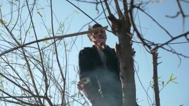 Adam Balta ile Söğüt Ağacı Dallarını Kesiyor. Sonbahar Parlak Güneşli Günü. Temiz Mavi Gökyüzü. 2x Yavaş çekim 60 fps 4K
