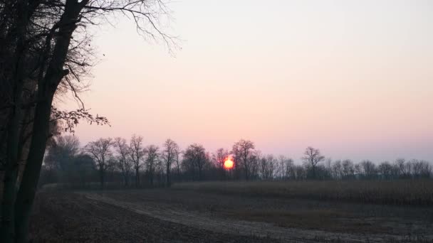 Coucher Soleil Dessus Plowed Field Saison Automne Pays Scène Rurale — Video