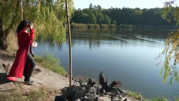 Red Long Coat Feeds Birds Pigeons Doves Lake Pond City — 비디오