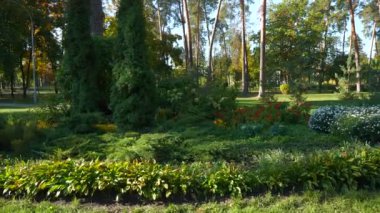 Şehir parkındaki Green Lawn 'daki güzel çiçek tarhı. Çiçek Bitkileri Ağaç Çalıları. Güneşli bir gün. Yavaş çekim 4K