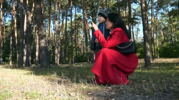 Mother Show Tell Her Son Nature Environment City Park Inglês — Vídeo de Stock