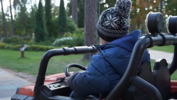 Aranyos Kölyök Vezet Elektromos Meghajtású Játék Autó Ride Parkban Szórakoztató — Stock videók