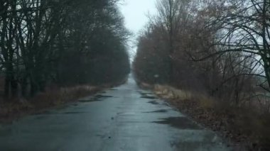 Araba Ön Cam Manzarası. Kış günü kar yağışlı kar fırtınası sırasında ıslak kaygan yolda araba kullanmak. Kırsal Doğa Sahnesi. 2x Yavaş çekim 60fps 4K