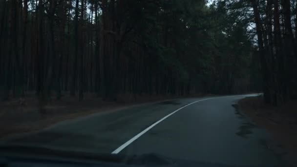 Driving Car Wet Road Pine Forest Wood Car Windshield View — Vídeo de Stock