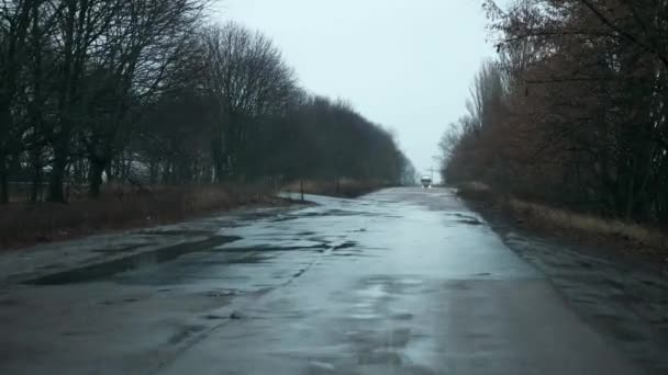 Car Windshield View Driving Car Wet Slippery Road Snowfall Blizzard — Wideo stockowe
