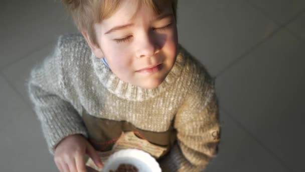 かわいい男の子カメラを見てください 料理と子供食事カカオデザート 角度の高いショット 冬の夜 スローモーション — ストック動画