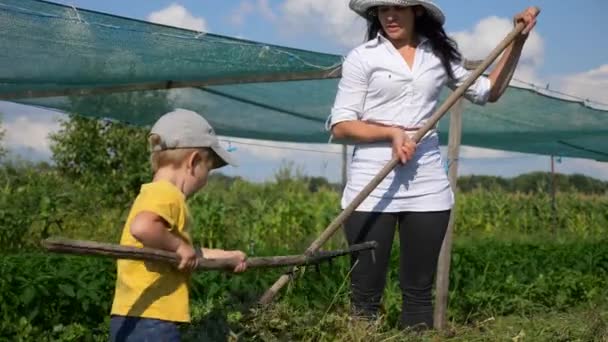 Child Helps Mother Farming Backyard Slow Motion Speed Fps — Stock Video