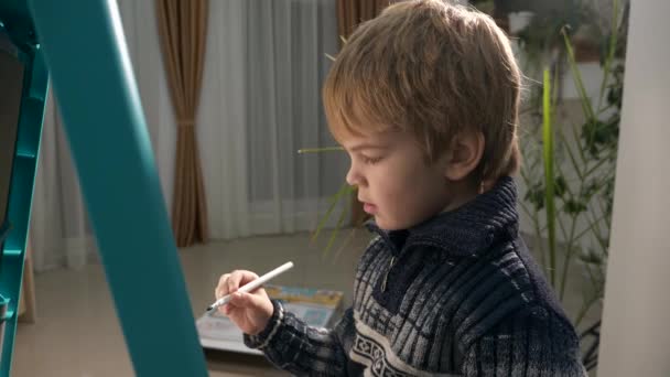 Little Boy Kid Draws Marker Whiteboard Child Education Home Evening — Stock Video