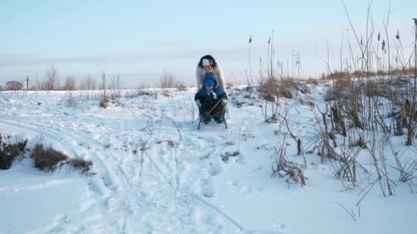 Moeder Met Kind Rijden Slee Sneeuw Lopen Samen Verse Winterlucht — Stockvideo