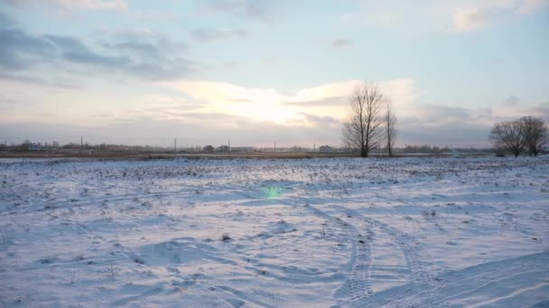 Ślady Samochodów Ludzkie Ślady Śnieżnej Szlaku Polu Scena Krajowa Zimna — Wideo stockowe