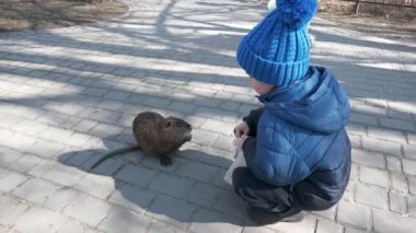 Child Kid Feed Nutria in Park. City Residential Area Block of Flats Apartments Condominium Buildings. Winter Cold Sunny Day. 2x Slow motion 60fps 4K