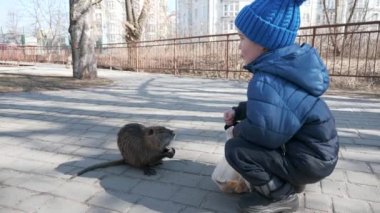 Çocuk Çocuk Nutria 'yı parkta besliyor. İkametgah Apartmanı Apartman Binaları Bloğu. Kış Soğuk Güneşli Günü. 2x Yavaş çekim 60fps 4K