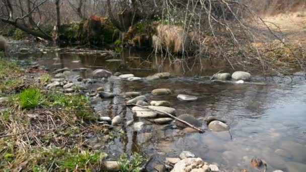 Μικρό Ποτάμι Stone Stream Άνοιξη Ηλιόλουστη Μέρα Αγροτική Σκηνή Ιστορικό — Αρχείο Βίντεο