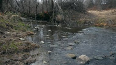 Küçük Nehir Taşı Akıntısı. Bahar mevsimi güneşli bir gün. Kırsal Sahne Arkaplanı. Güzel Doğa Ülkesi. 2x Yavaş çekim 60fps 4K