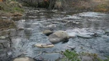 Küçük Nehir Taşı Akıntısı. Bahar mevsimi güneşli bir gün. Kırsal Sahne Arkaplanı. Güzel Doğa Ülkesi. 2x Yavaş çekim 60fps 4K
