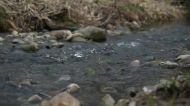 Küçük Nehir Taşı Akıntısı. Bahar mevsimi güneşli bir gün. Kırsal Sahne Arkaplanı. Güzel Doğa Ülkesi. 2x Yavaş çekim 60fps 4K