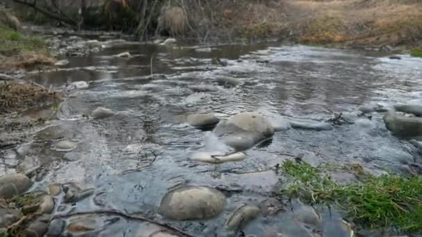 Corriente Piedra Río Pequeño Temporada Primavera Día Soleado Contexto Escena — Vídeos de Stock