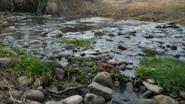 Μικρό Ποτάμι Stone Stream Άνοιξη Ηλιόλουστη Μέρα Αγροτική Σκηνή Ιστορικό — Αρχείο Βίντεο