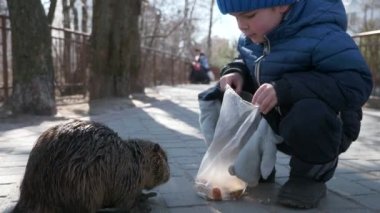 Çocuk Çocuk Nutria 'yı parkta besliyor. İkametgah Apartmanı Apartman Binaları Bloğu. Kış Soğuk Güneşli Günü. 2x Yavaş çekim 60fps 4K