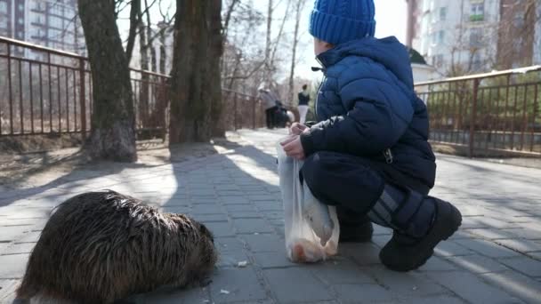 Child Kid Feed Nutria Park City Residential Area Block Flats — Stockvideo