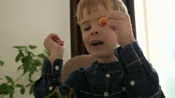 Close Cute Little Boy Kid Enjoy Eat Sweet Cherry Fruit — Wideo stockowe