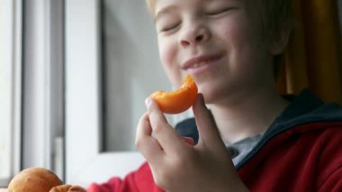 Şirin, küçük bir çocuk kayısı yiyebilir. Pencere kenarında meyve yiyebilir. Yaz sezonu. 2x Yavaş çekim 60 fps 4K