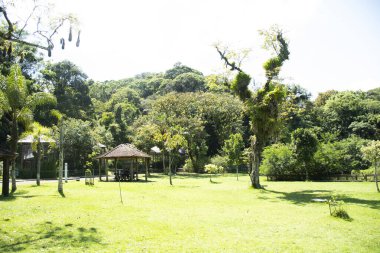 Güneşli bir günde açık hava parkı ve piknik kulübesi olan doğa.